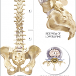 Non-surgical Treatments for Spine Injuries