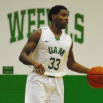 Slow Start Proves Costly in one-point loss for Boll Weevils