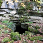 Bat-Killing Fungus Prompts Continued Precautions at Arkansas Caves