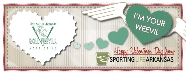 Happy Valentine's Day Boll Weevils