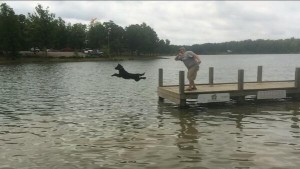 riverfest dock dog comp