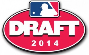 2014 MLB Draft logo