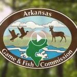 New Arkansas Wildlife TV Show Starts Oct. 8